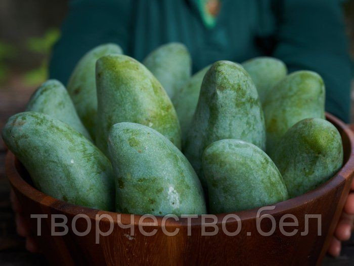Ароматизатор Кема Зеленый манго, 30 гр - фото 1 - id-p148458972