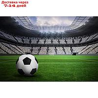 Фотообои "Футбол" M 688 (2 полотна), 200х135 см