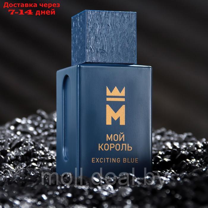 Туалетная вода мужская Мой Король Exciting Blue, 100 мл - фото 2 - id-p219448427