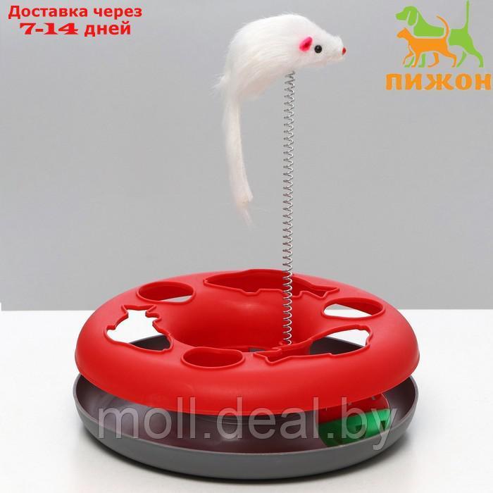 Игрушка для кошек "Загадочный круг - Рыбки", мышь на пружине и шарик, 23х7 см,красная/серая   791613