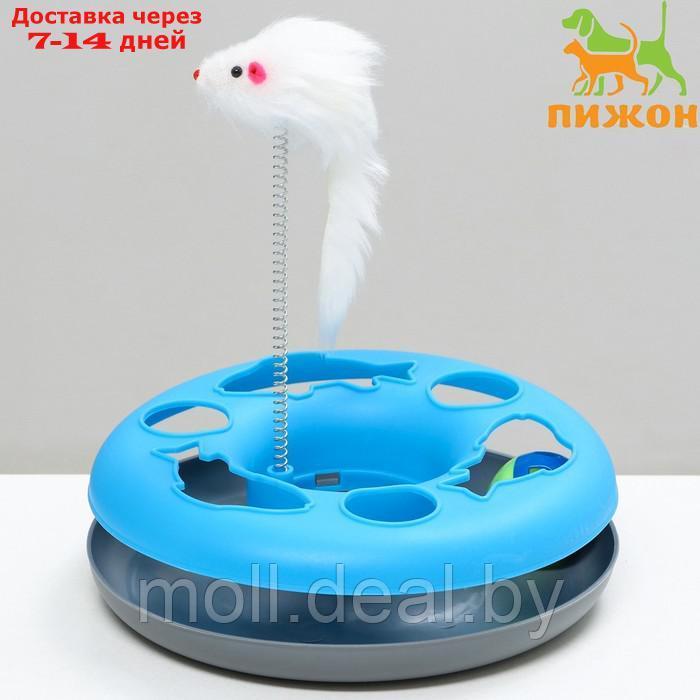 Игрушка для кошек "Загадочный круг - Рыбки", мышь на пружине и шарик, 23 х 7 см, синяя/белая 79161 - фото 1 - id-p219446499