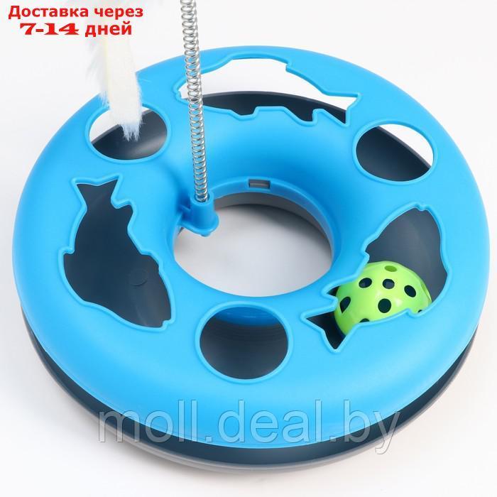 Игрушка для кошек "Загадочный круг - Рыбки", мышь на пружине и шарик, 23 х 7 см, синяя/белая 79161 - фото 2 - id-p219446499