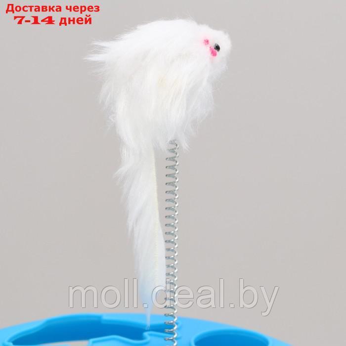 Игрушка для кошек "Загадочный круг - Рыбки", мышь на пружине и шарик, 23 х 7 см, синяя/белая 79161 - фото 4 - id-p219446499