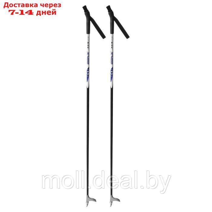 Палки лыжные стеклопластиковые ЦСТ, 120 см, цвета микс - фото 8 - id-p219446801