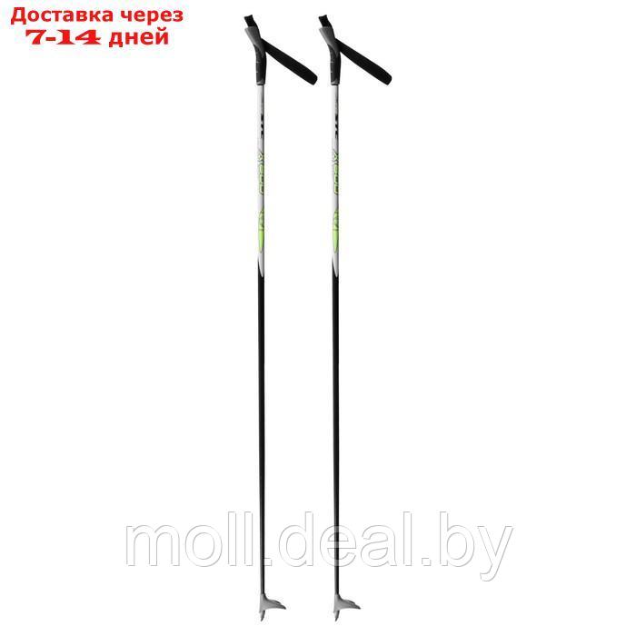 Палки лыжные стеклопластиковые ЦСТ, 145 см, цвета микс - фото 2 - id-p219446802