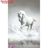 Панно "Белая лошадь" К-201 (2 полотна), 200x300 см