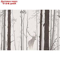 Фотообои "В лесу" M 601 (2 полотна), 200х135 см