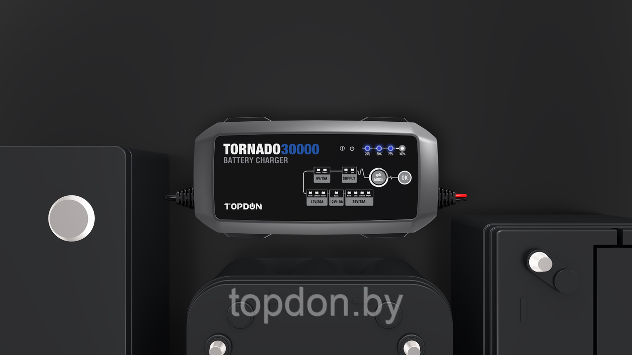 Умное зарядное устройство TOPDON Tornado 30000 - фото 2 - id-p219509609