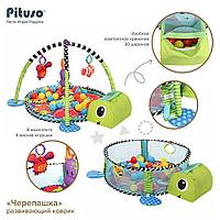 PITUSO Развивающий коврик Черепашка 3в1