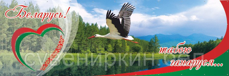 Социальный баннер "Беларусь" "Я люблю Беларусь" - фото 6 - id-p61346286
