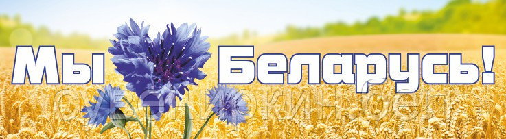 Социальный баннер "Беларусь" "Я люблю Беларусь" - фото 7 - id-p61346286