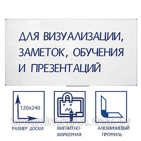 Доска магнитно-маркерная 120х240 см, Calligrata СТАНДАРТ, в алюминиевой рамке, с полочкой