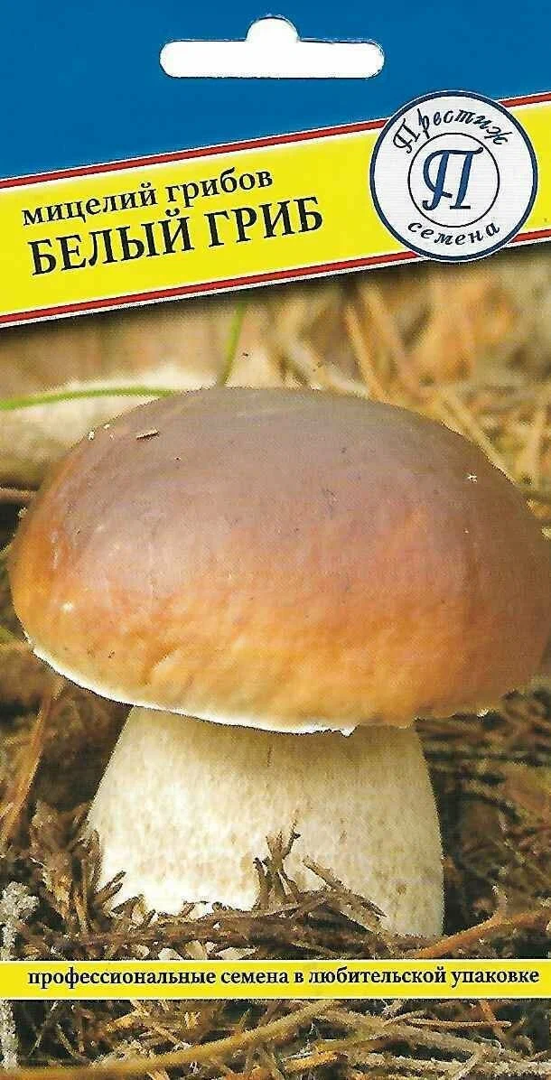 Мицелий грибов Белый гриб 60мл Престиж Семена - фото 1 - id-p218317922