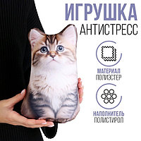Антистресс игрушка «Котик Сибиряк»