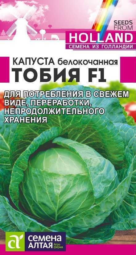 Капуста б/к Тобия 15шт Семена Алтая - фото 1 - id-p199868786