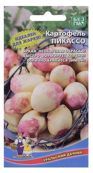 Картофель семена Пикассо 0,02г Уральский Дачник - фото 1 - id-p216022353