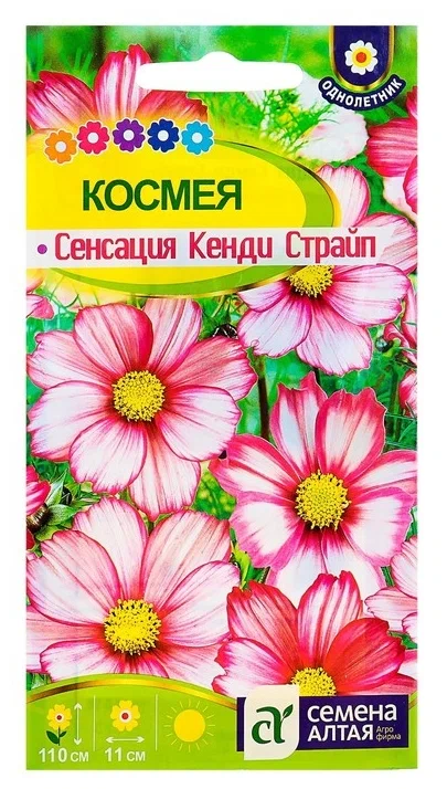 Космея Сенсация Кенди Страйп 0,5г Семена Алтая