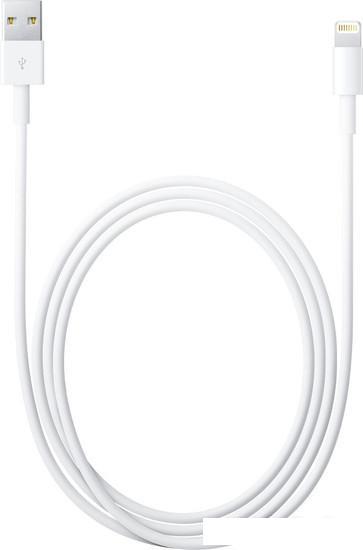 Кабель Apple Lightning/USB MD819 - фото 1 - id-p219214906