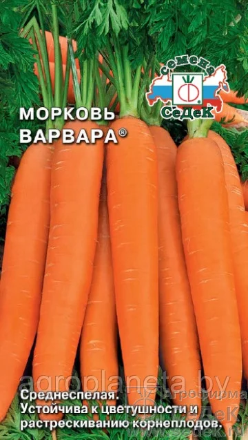 Морковь Варвара 2г Седек