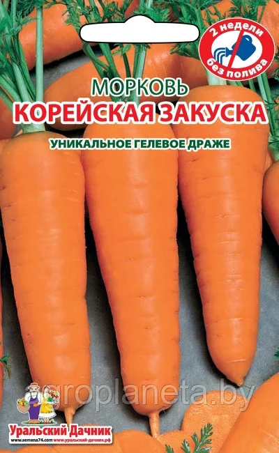 Морковь драже Корейская Закуска 300шт Уральский Дачник - фото 1 - id-p167694398
