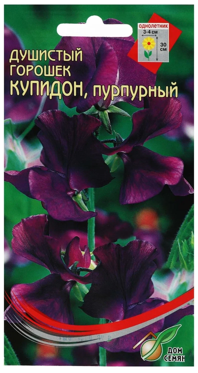 Горошек душистый Купидон пурпурный 6шт Дом Семян
