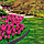 Бордюр садовый 15cm EZ Border BRICKS, 3 колышка и соединитель, серый, BG, фото 8