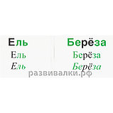 Кто вокруг меня живет, что вокруг меня растет" Зайцев Н.А., фото 4