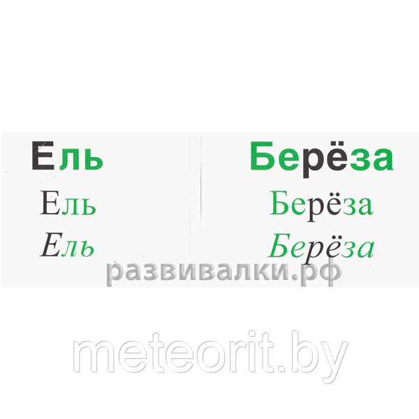 Кто вокруг меня живет, что вокруг меня растет" Зайцев Н.А. - фото 4 - id-p31496002