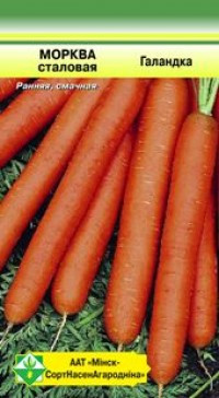 Морковь столовая Голландка