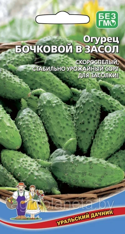 Огурец Бочковой в засол 10шт Уральский Дачник