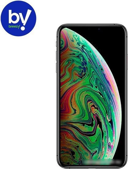 Apple iPhone XS 256GB Восстановленный by Breezy, грейд A (серый космос) - фото 1 - id-p219564339