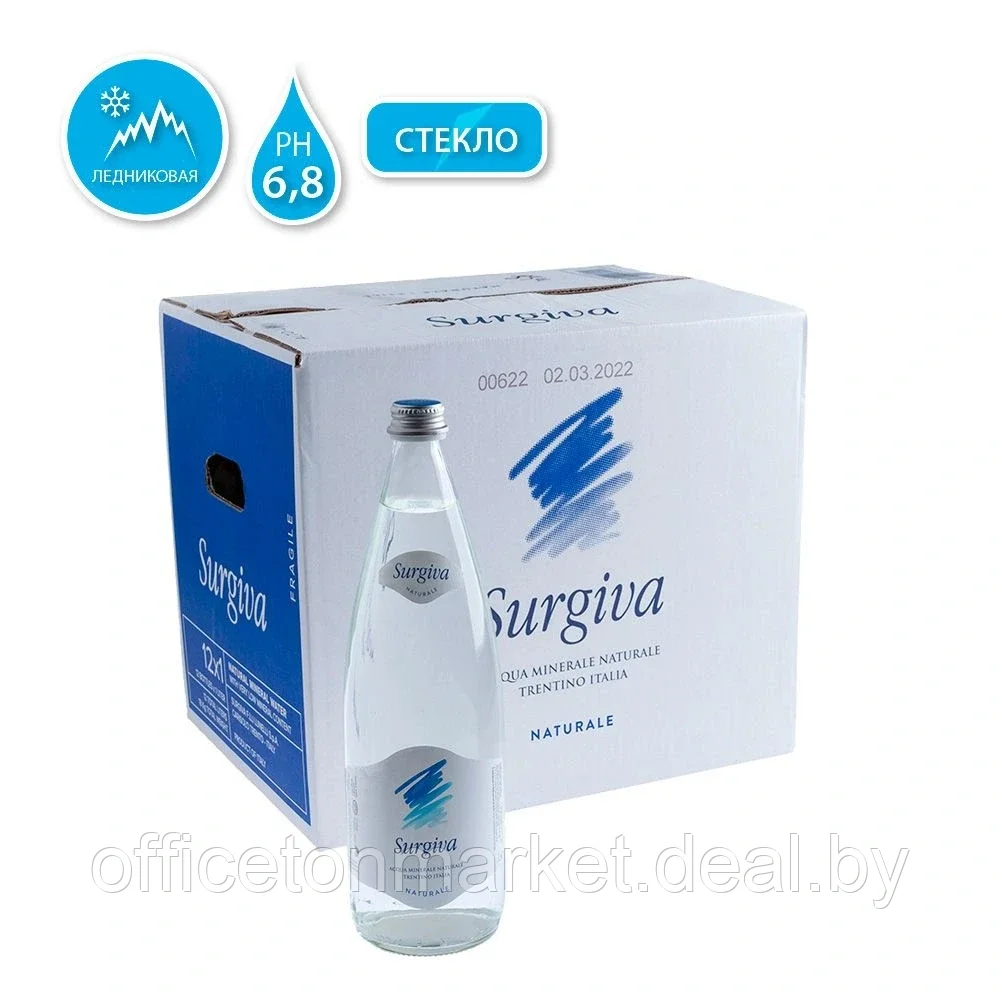 Вода минеральная природная питьевая «Surgiva», 1 л, негазированная, 12 бут/упак - фото 1 - id-p208604592