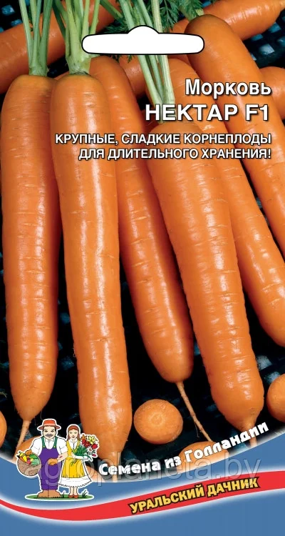 Морковь Нектар F1 0,3г Уральский Дачник - фото 1 - id-p181003886