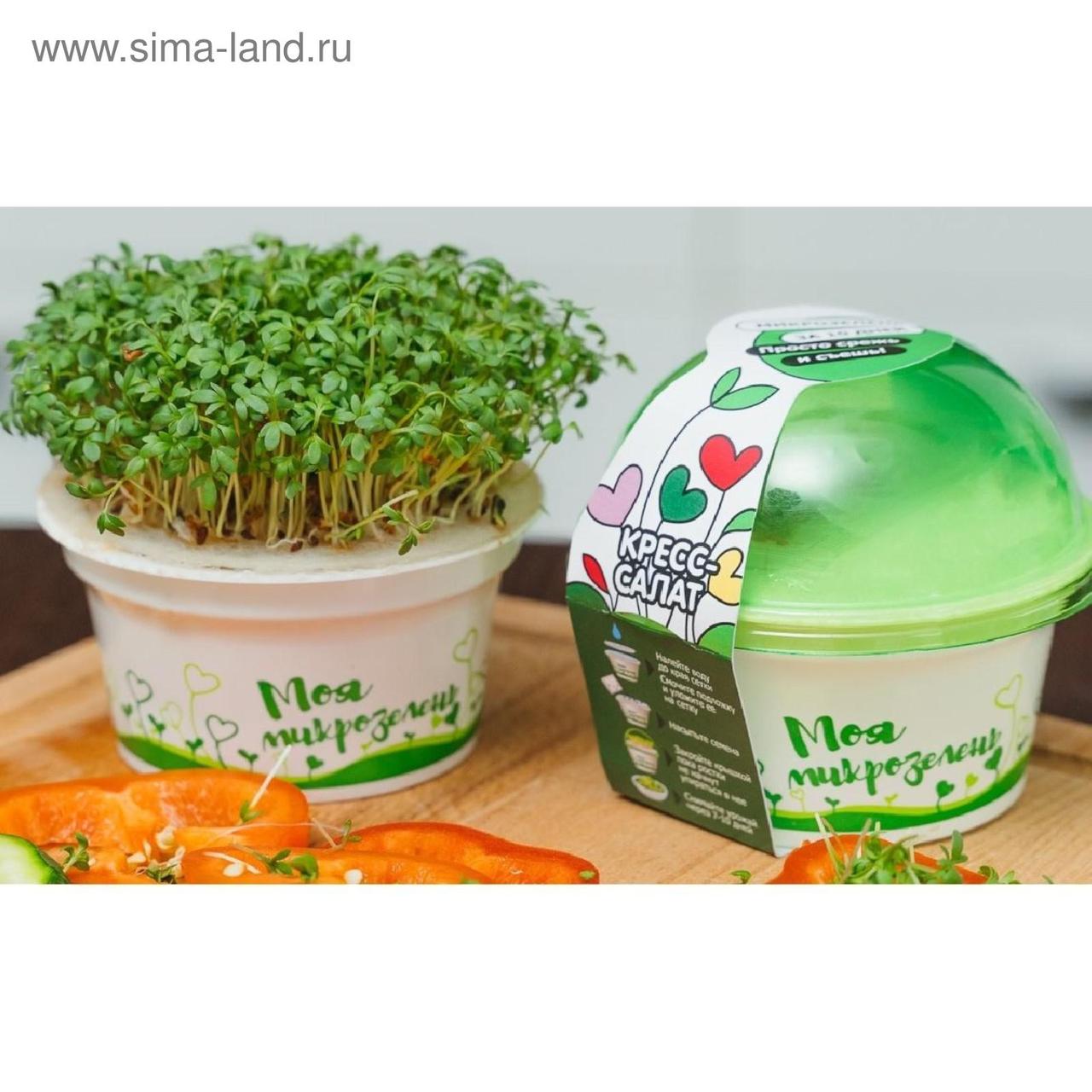 Набор для выращивания Моя микрозелень Кресс-салат Здоровья Клад - фото 5 - id-p215595868