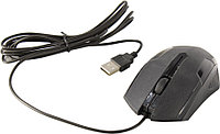 Манипулятор ExeGate Optical Mouse SH-9025L2 USB 3btn+Roll EX279943RUS (USB, оптическая, 1000dpi, 3 кнопки и