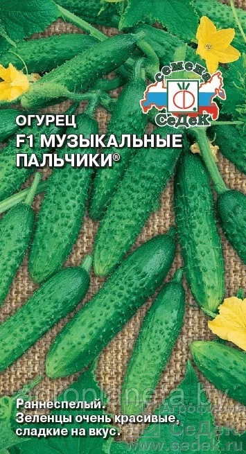 Огурец Музыкальные пальчики F1 0,2г Седек