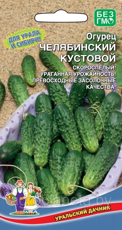 Огурец Челябинский Кустовой 12шт Уральский Дачник