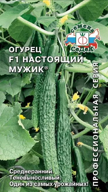 Огурец Настоящий Мужик F1 0,2г Седек