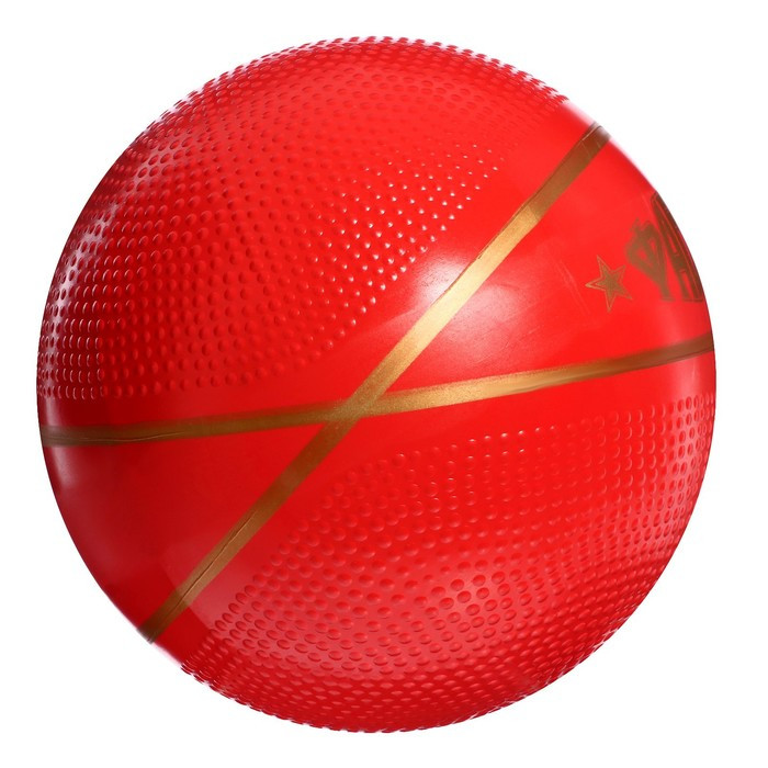 Мяч «Фаворит», диаметр 200 мм - фото 2 - id-p219605239