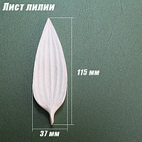 Молд "Лист лилии", 37х115мм