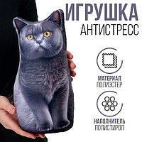 Антистресс игрушка "Британец"