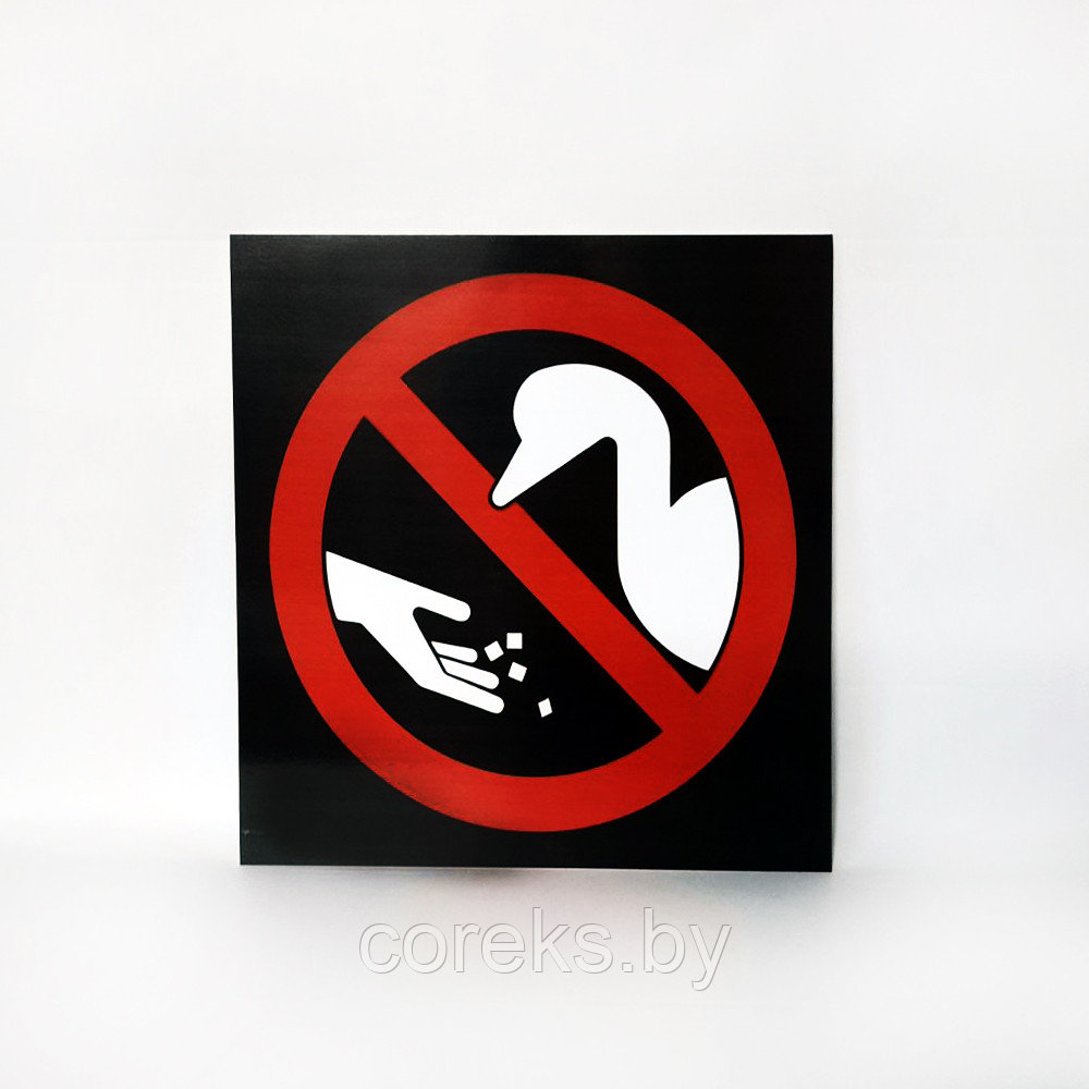 Запрещающая табличка "Птиц не кормить" (размер 40*40 см) - фото 1 - id-p219617708