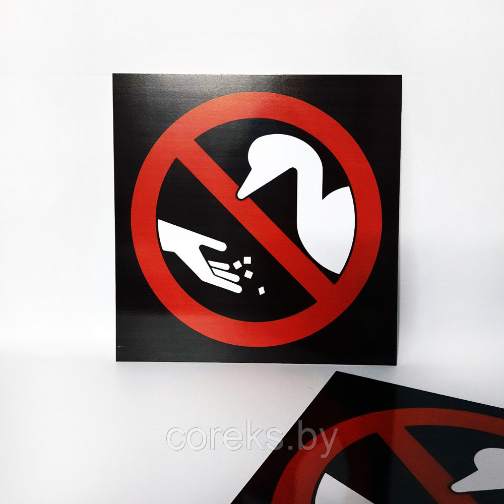 Запрещающая табличка "Птиц не кормить" (размер 40*40 см) - фото 2 - id-p219617708