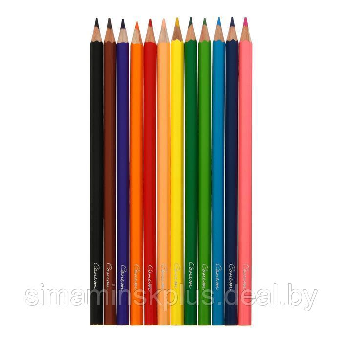 Карандаши художественные цветные мягкие, ЗХК "Сонет", 12 цветов, - фото 2 - id-p219616254
