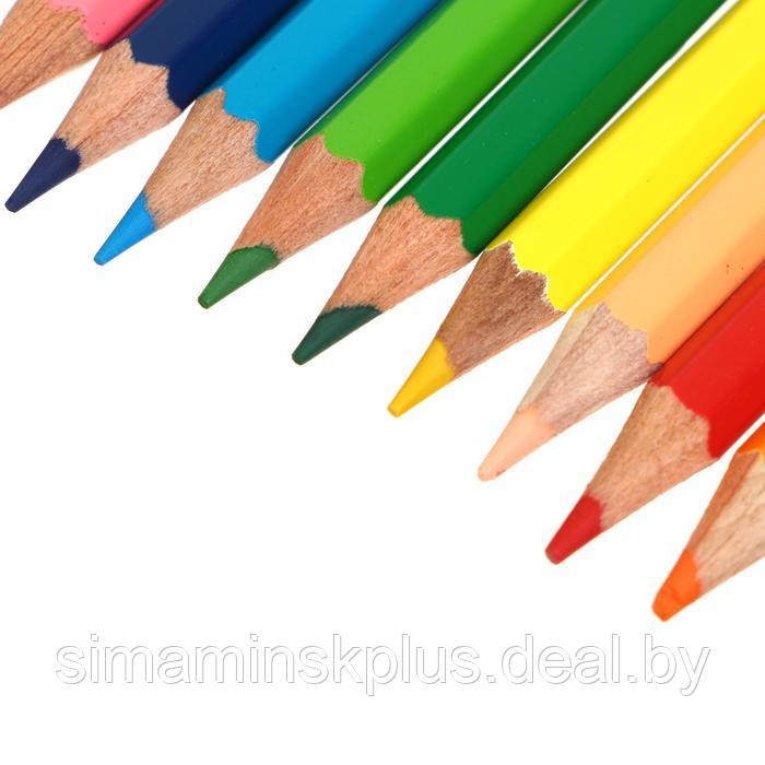 Карандаши художественные цветные мягкие, ЗХК "Сонет", 12 цветов, - фото 3 - id-p219616254