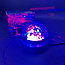 Проектор  ночник Мерцание LED Q6 Star light с пультом ДУ (режимы подсветки, датчик звука), фото 9