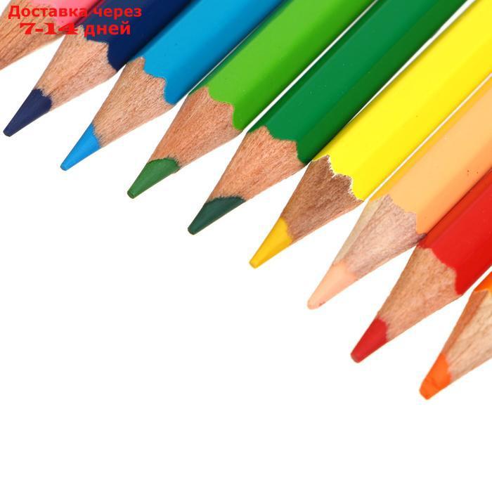 Карандаши художественные цветные "Сонет", 12 цветов - фото 3 - id-p219580785
