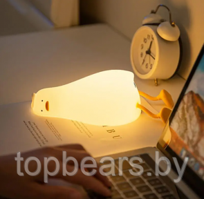 Светильник - ночник силиконовый Сонный Гусь Duck Sleep Lamp (USB, 3 режима, таймер 30 мин) - фото 1 - id-p219630118