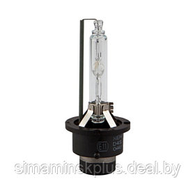 Лампа ксеноновая Xenite Premium D4S (5000K) (Яркость +20%)