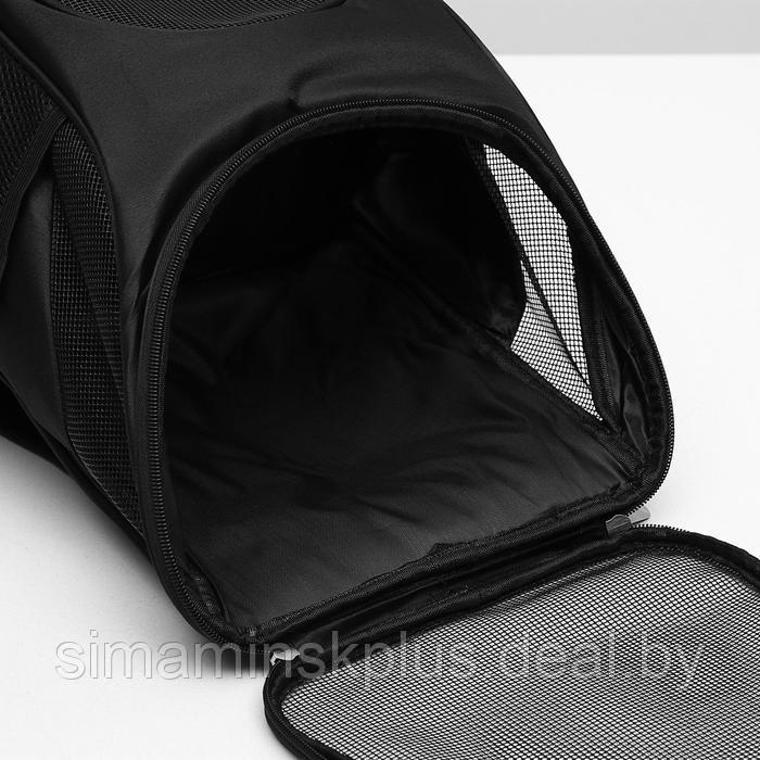 Рюкзак для переноски животных, 31,5 х 25 х 33 см, черный - фото 3 - id-p219643044